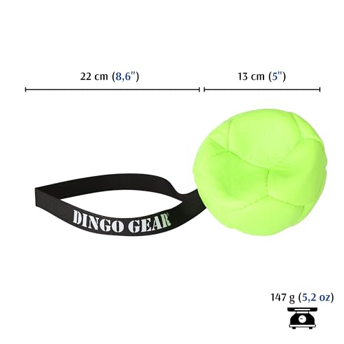 Dingo Gear Dog Ball and Pump Set, Faux Leather, Green 5in - color: Green Ball+Pump, size: 5"