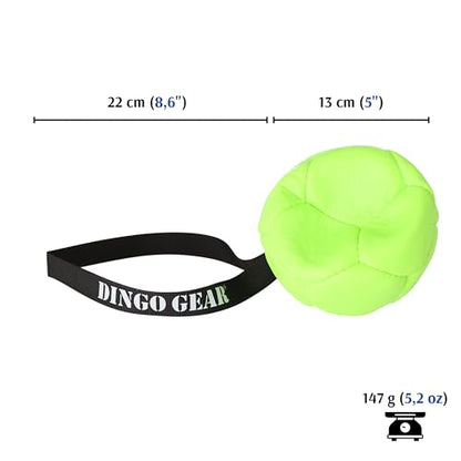 Dingo Gear Dog Ball and Pump Set, Faux Leather, Green 5in - color: Green Ball+Pump, size: 5"