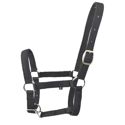 Cattle Halter Horse Equitation Padded Halter Bridle Comfortable Firm and Deformable Rein Equestrian Adjustable Head(Black L) - color: Black L