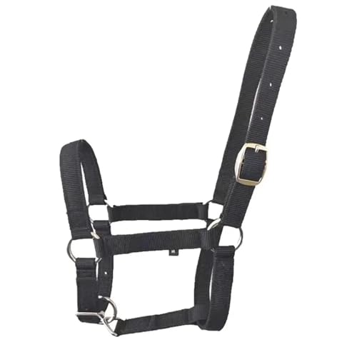 Cattle Halter Horse Equitation Padded Halter Bridle Comfortable Firm and Deformable Rein Equestrian Adjustable Head for Gentle Control Calves During Grooming - color: Black S