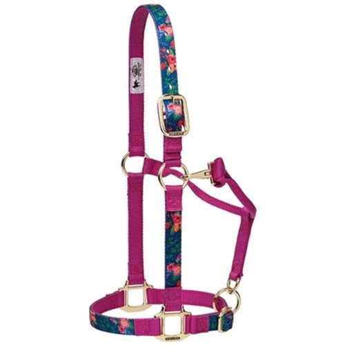 Weaver Leather Adjustable Patterned Nylon Horse Halter, Cactus, Small Horse