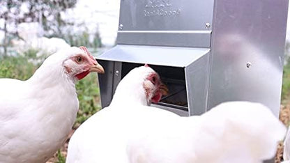 RentACoop Metal Trough Feeder with Lid & Rain Cover – Galvanized Steel, Gravity-Fed, Side View Window, Adjustable Grate for Easy Cleaning, Suitable for Chickens, Ducks, Poultry & More – 10lb Capacity - size: 10LB Capacity