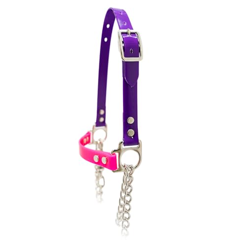 SULLIVAN'S Next Level Sheep & Goat Halter (Purple/Pink) - color: Purple/Pink