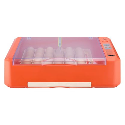 VEVOR 36 Egg Incubator, Automatic Egg Turner with LED Candler & Water Tray, Temperature & Humidity Control, 360° View Clear Window, Poultry Eggs Incubators for Hatching Chicks Ducks Goose Quails - size: 36 Eggs