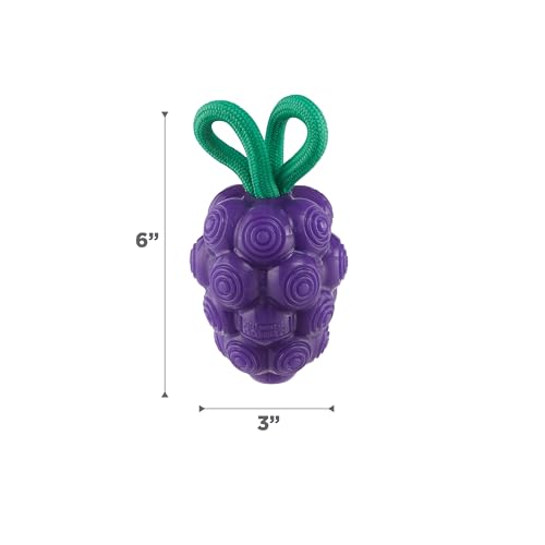 Outward Hound Dental Grapes Dog Toy & Treat Stuffer, 6″ x 3″ Grape-Scent Interactive Chew for Dogs, Helps Clean Teeth, Promote Healthy Gums & Mental Enrichment, Reduce Boredom & Support Dental Health - color: Grape