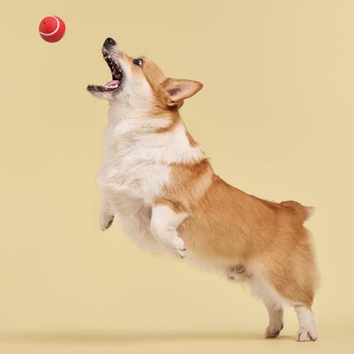 Playology Dog Toys | Squeaky Chew Ball for Dogs | Beef Scented Medium Dog Ball | Bouncy Floating Chew Toys for Fetch - size: Medium, style: Beef