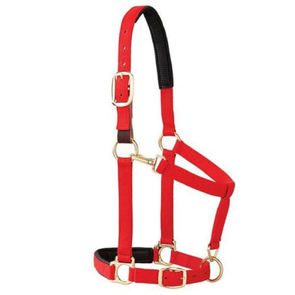 Weaver Equine Breakaway Horse Halter, Comfort Foam Padding, Adjustable Chin & Throat Snap Halters for Horses, Equine Tack,Average Size, Purple