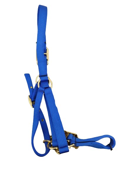 Heavy Duty Nylon Yearling Cow Halter with Control Chain - size: Teal