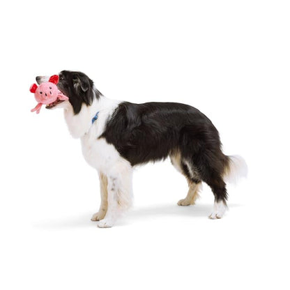 Leaps & Bounds by Petco Tough Pig Dog Toy