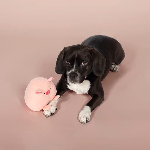 Fringe Studio Ball Squeaker Toy for Pets, Pig (286003)