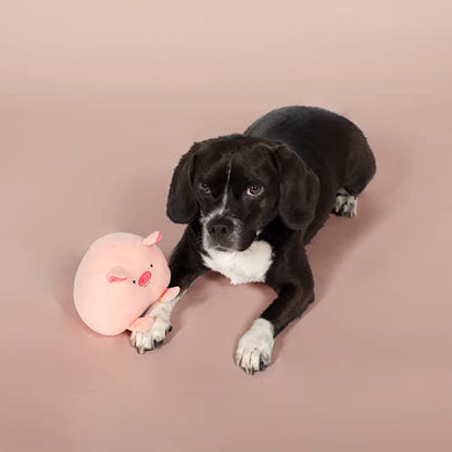 Fringe Studio Ball Squeaker Toy for Pets, Pig (286003)
