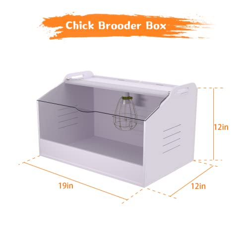 Chick Brooder Box with Heat Lamp - Suitable for Chicks, Ducks, Parrots & Lizards (19" X 12" X 12") - size: 19" X 12" X 12"