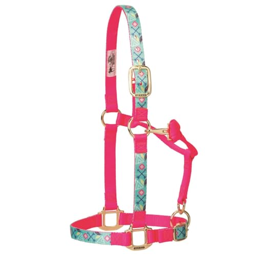 Weaver Leather Adjustable Patterned Nylon Horse Halter, Cactus, Small Horse