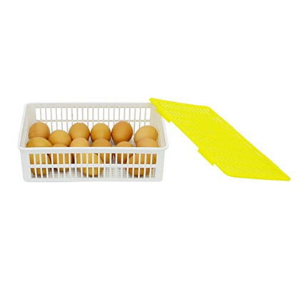 Hatching Time Egg Hatching Basket, Fits Hatching Time CT Series Incubators, Divided Hatch Outs, Separate Breeds When Hatching, Fits 15 Chicken Eggs, Fits Any Egg Size - style: 15 Chicken Eggs