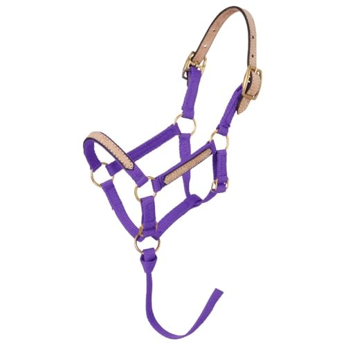 Tough1 Miniature Nylon Breakaway Halter - color: Purple, size: Large