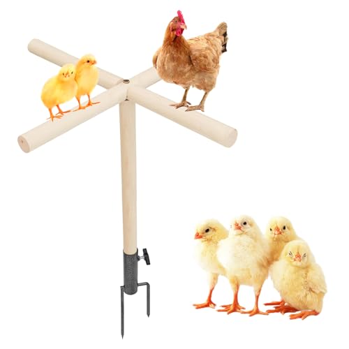 Chicken Perch Toy for Coop, Wooden Chick Perch Stand with Metal Ground Plug, Chicken Coop Backyard Poultry Accessories, Suitable for Poultry Rooster Chicks Large Bird Parrot - size: 23 × 23 Inch