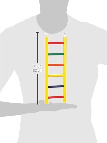 Prevue Pet Products 6-Rung Wood Bird Ladder - Accessories for Small, Medium, and Large Birds, Hanging Birdcage Toy for Climbing, Foot Exercise, Beak Use, Mental Enrichment, and Interactive Play - size: 6 Rungs, 12-Inch