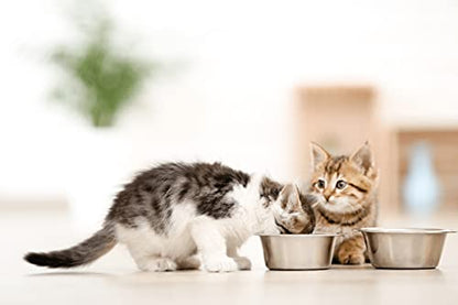 HB 2.5 Cups Stainless Steel Dog and Cat Bowls Small - 6.2" Diameter fits Raised Pet Feeders with Opening 5.4"- 5.8" (2-Pack) - color: Double Pack, size: 2.5 cup (Standard)