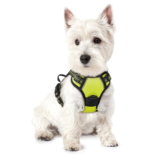 rabbitgoo Dog Harness No Pull with 2 Leash Clips, Adjustable Soft Padded, Reflective Oxford No Choke Pet Vest with Easy Control Handle for Puppy, Green, XS - color: Wild Lime, size: X-Small