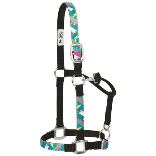 Weaver Leather Adjustable Patterned Nylon Horse Halter, Cactus, Small Horse