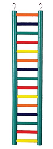 Prevue Pet Products 15-Rung Wood Bird Ladder - Accessories for Small, Medium, and Large Birds, Hanging Birdcage Toy for Climbing, Foot Exercise, Beak Use, Mental Enrichment, and Interactive Play