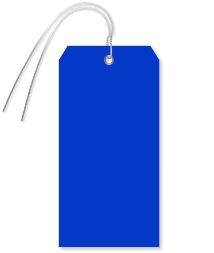 SmartSign Blank Blue Tag with Wire | 6.25" x 3.125" Size 8 Tear Proof Polypropylene, Pack of 25 - color: Blue