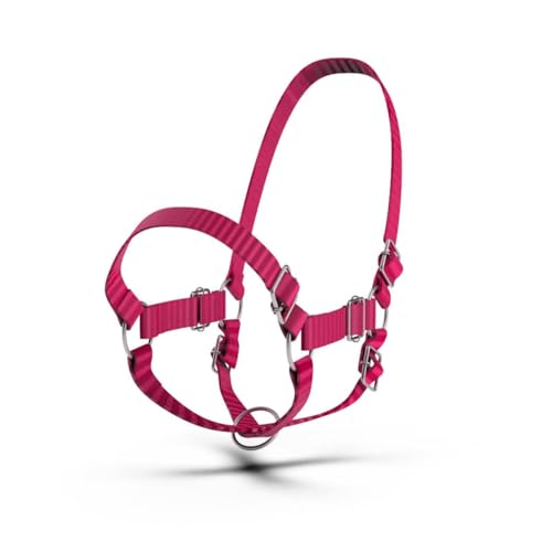 HADZAM Adjustable Nylon Cow Halter | Calf Halter one Halter for (1 Year to Full Size) Easy Adjustable Straps elimates the Need of Ill-Fitting Cattle Halter - color: BLUE