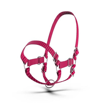 HADZAM Adjustable Nylon Cow Halter | Calf Halter one Halter for (1 Year to Full Size) Easy Adjustable Straps elimates the Need of Ill-Fitting Cattle Halter - color: BLACK