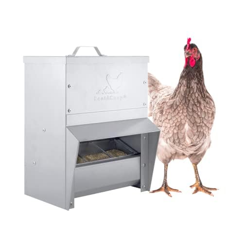 RentACoop Metal Trough Feeder with Lid & Rain Cover – Galvanized Steel, Gravity-Fed, Side View Window, Adjustable Grate for Easy Cleaning – Suitable for Chickens, Ducks, Poultry & More – 10lb Capacity - size: 10LB Capacity