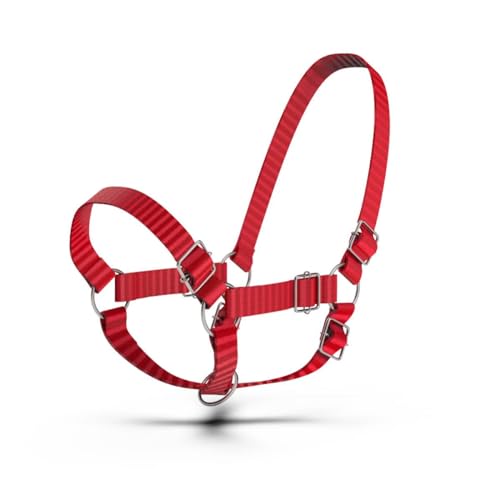 HADZAM Adjustable Nylon Cow Halter | Calf Halter one Halter for (1 Year to Full Size) Easy Adjustable Straps elimates the Need of Ill-Fitting Cattle Halter - color: BLUE