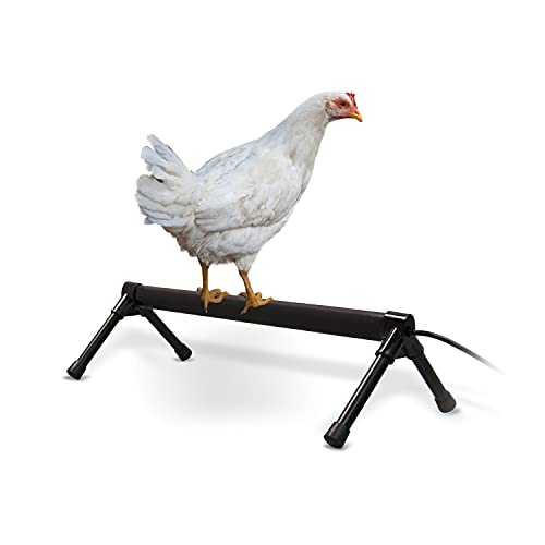 K&H Pet Products Thermo Heated Chicken Perch for Coop, Warming Chicken Heater, Prevents Frozen Toes, Warm Coop Accessories, Lamp Alternative, Safety Listed - Small 26” Black