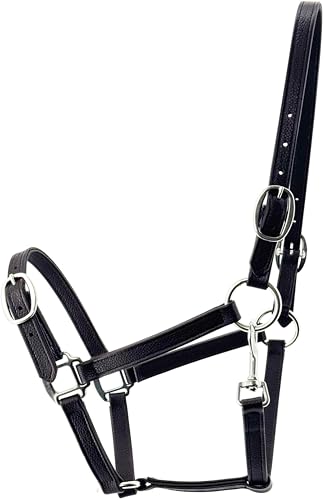 Jeereal 3/4" Soft Leather Horse Halter, Fancy Stitching,Padded Halter with Stainless Steel Hardware,Adjustable Leather Halter for Horses, Equine Tack,Average Size - color: Dark Coffee