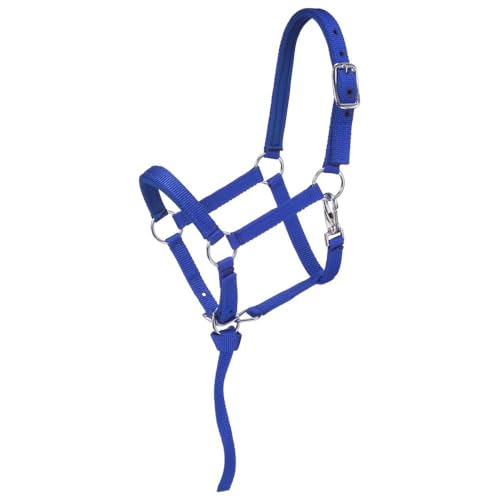 Tough 1 Nylon Padded Miniature Halter - color: Royal Blue, size: Small