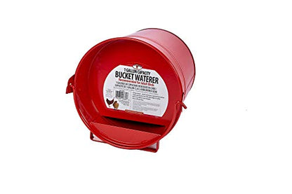 Little Giant® Painted Galvanized Bucket Waterer | Chicken Waterer | Heavy Duty Gravity Fed Water Tank | Easy to Carry | 1 Gallon