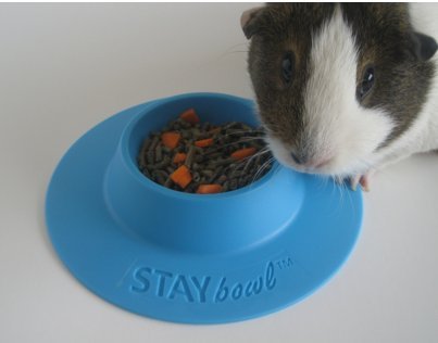 Tip-Proof Ergonomic Pet Bowl for Guinea Pig and Other Small Pets; 1/4-Cup Size; Sky Blue (Pack of 2) - size: Small 1/4 cup (Pack of 2)