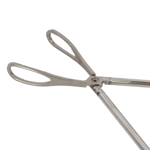 Zerodis Pig Midwifery Tools Set, Stainless Steel Veterinary Midwifery Rope Pliers Hook Pig Breeding Equipment Livestock Tool(3pcs)