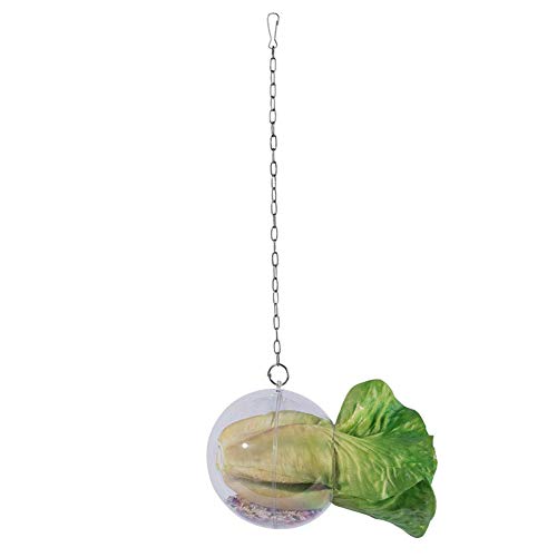 Parrot Hanging Ball Chicken Toy Size Versatile Durable Fun for Birds (As Shown)