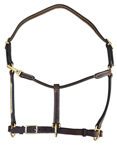 Leaders 3/4" Leather Halter for Horses with Customized Engraved Name Plate Brown Leather with Solid Brass Hardware - size: Draft