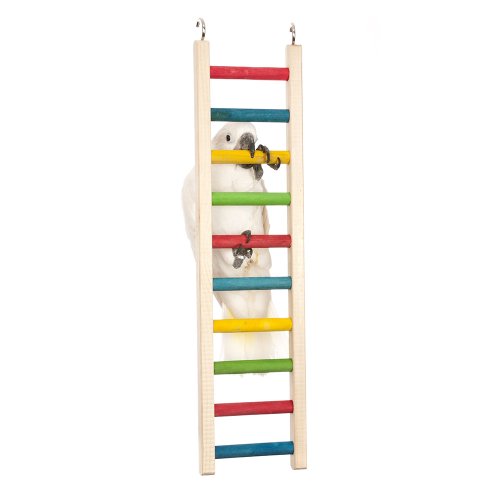 Paradise Toys 24-Inch Wood Parrot Ladder