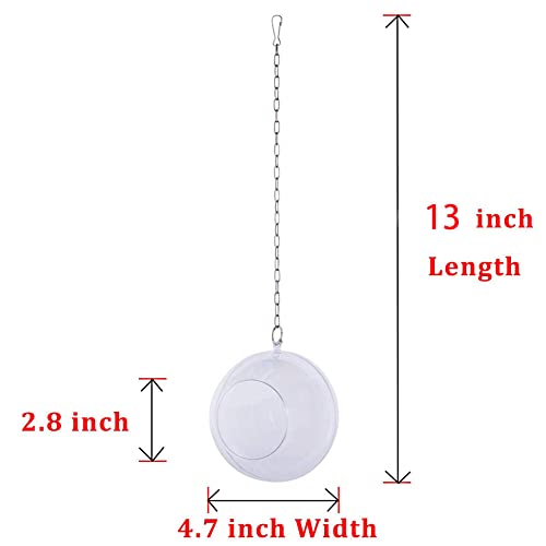 Parrot Hanging Ball Chicken Toy Size Versatile Durable Fun for Birds (As Shown)