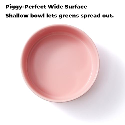 Guinea Pig Vegetable Bowl, Pink Ceramic 6 Inch Heavyweight Non-Tip Small Animal Food & Water Bowl – Wide Shallow Veggie Dish (~20 fl oz) for Chinchilla Rabbit Ferret