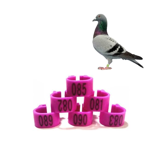 Gerrit 10mm Numbered Plastic Letter Bird Leg Band Quail Chick Plastic Marker Poultry（10colors） 001-200 Purple - color: Purple, size: 001-200