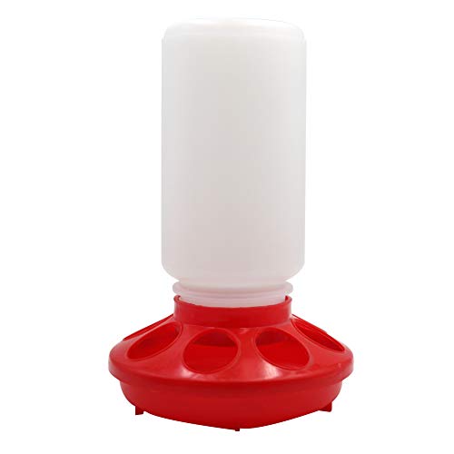 Automatic Poultry Feeder Small, Waste Free Chicken Feeder Jar, Baby Chick Feeder for Birds Pigeon Quail 1 Quart (Red and White)