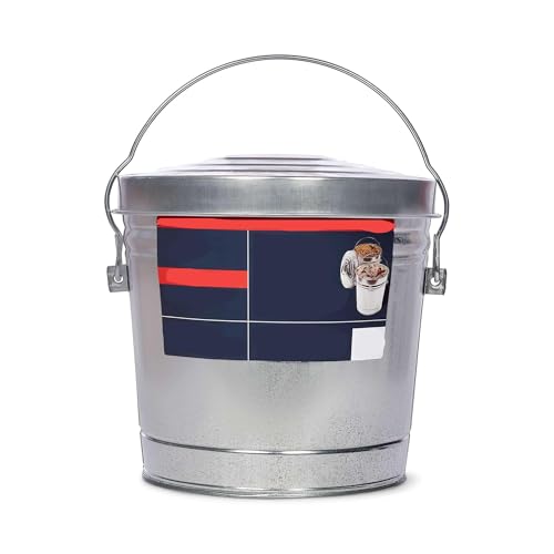 Galvanized Steel Locking Lid Storage Can, 6 Gallon Large Capacity Weatherproof Metal Canister, Durable Sealed Storage Bin for Dry Goods Feed Tools and Outdoor Patio Use