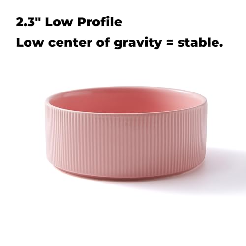 Guinea Pig Vegetable Bowl, Pink Ceramic 6 Inch Heavyweight Non-Tip Small Animal Food & Water Bowl – Wide Shallow Veggie Dish (~20 fl oz) for Chinchilla Rabbit Ferret