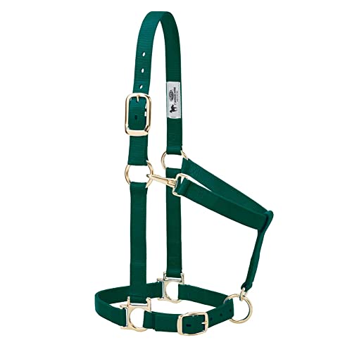 Weaver Leather Nylon Horse Halter, Padded and Adjustable, Chin and Throat Snap Hook Halters for Horses, Brass Plated Halters for Training - color: Hunter Green, size: 1" Average Horse