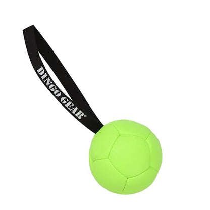 Dingo Gear Dog Ball and Pump Set, Faux Leather, Green 5in - color: Green Ball+Pump, size: 5"