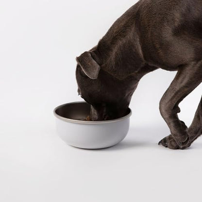 DIGGS Crate Bowl for Dogs - Clip on Pet Bowl for Water & Food - Puppy Training Necessities - Spill-Resistant, Universal Dog Crate Accessories (38oz.)