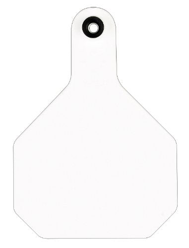 Y-TEX CORPORATION Large White Blank Tag (25 Pack)