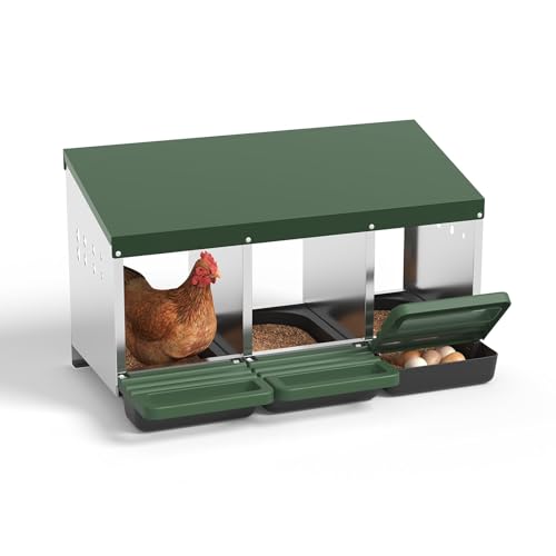 Metal Chicken Nesting Box – 3 Holes, Roll Away Egg Laying, Heavy Duty Galvanized Steel, Protective Lid, Wall Mounted or Freestanding, Easy Clean, Vented Pegboard Design, Green (Pegboard - color: Green, size: 3 Room&Mat Board